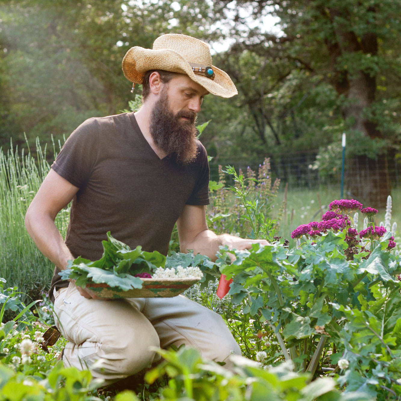 Bret James harvesting food in a productive garden