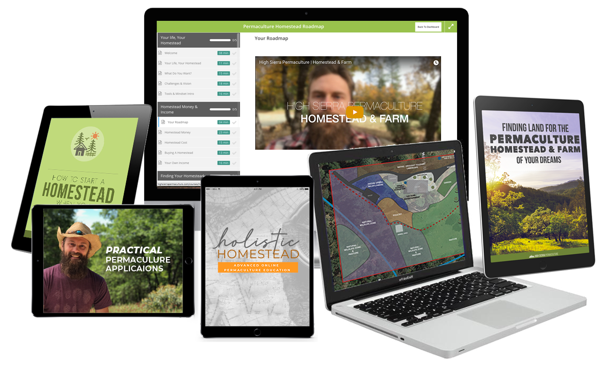 Holistic Homestead Academy complete digital program