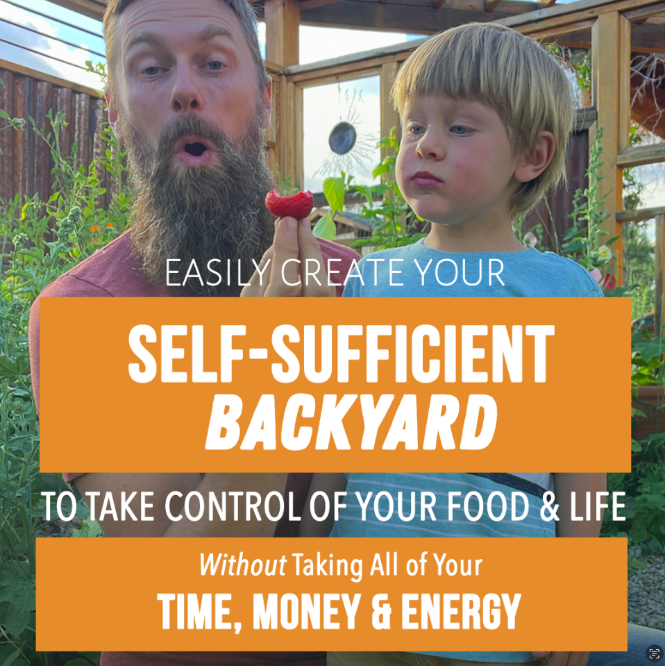 Paid ad promoting a self-sufficient backyard