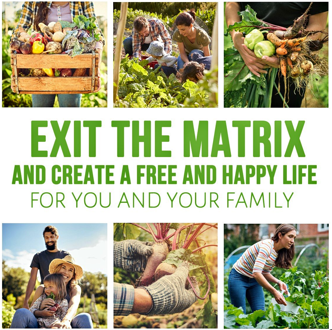 Paid ad promoting a free and happy life through growing food